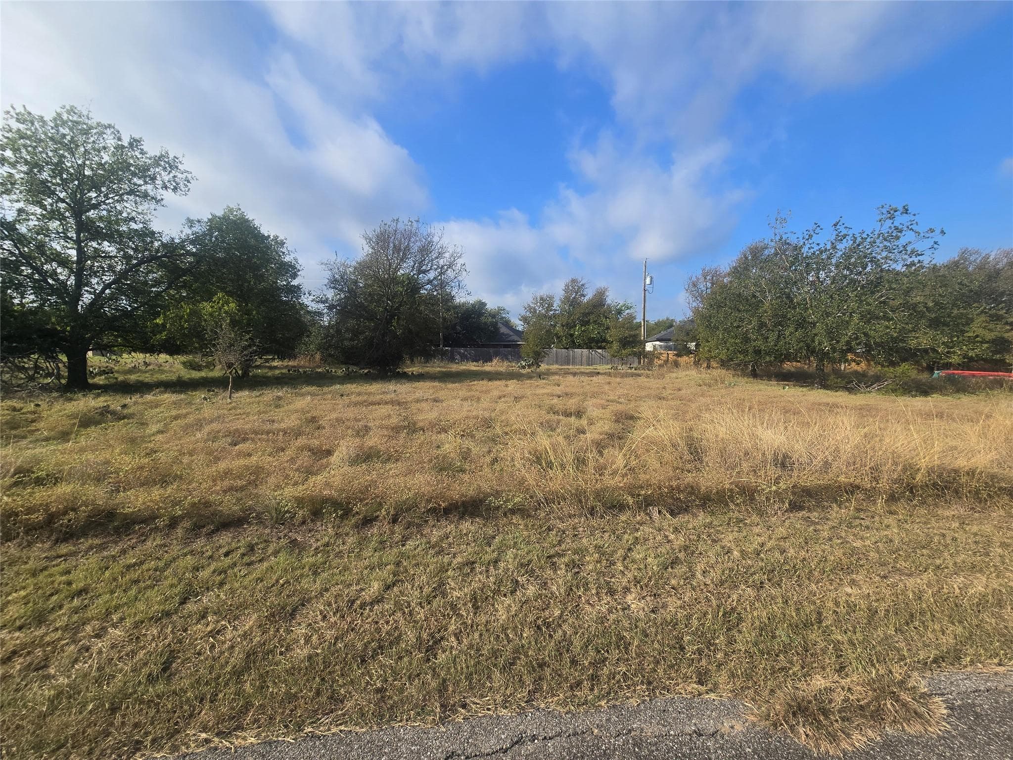 36 Blue Roan DR