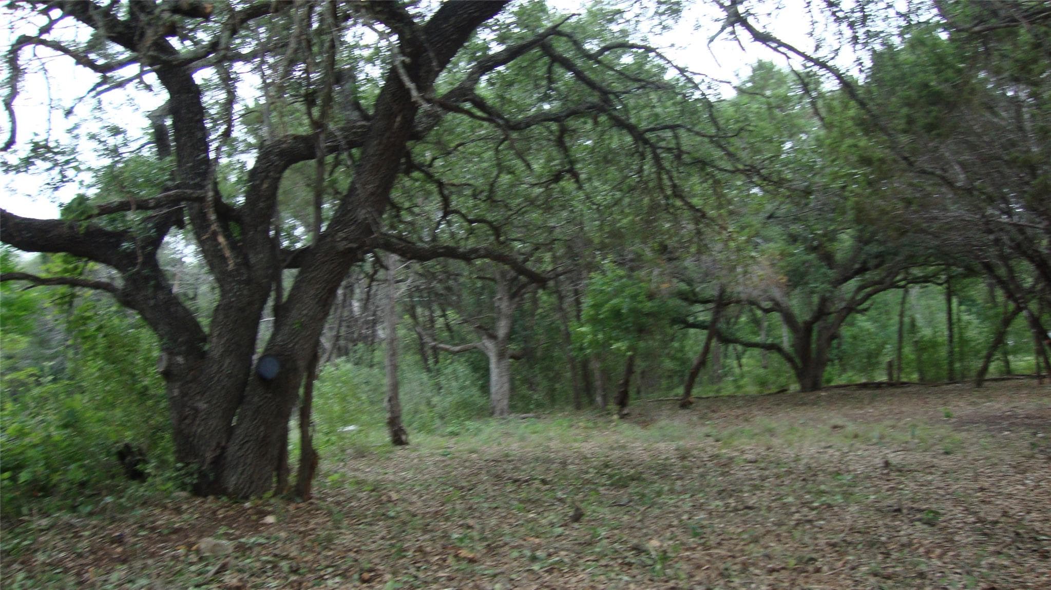 11112, 11106 Travis DR