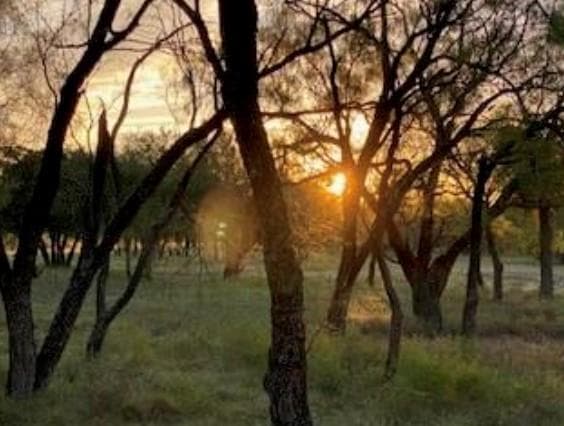 495 Buffalo Creek (Lot 95) DR