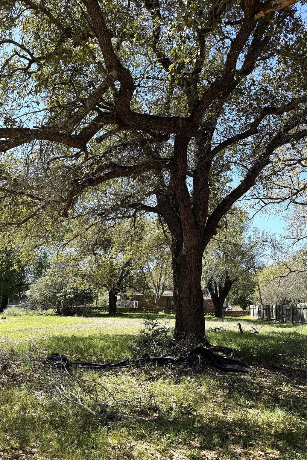Home in Rockdale