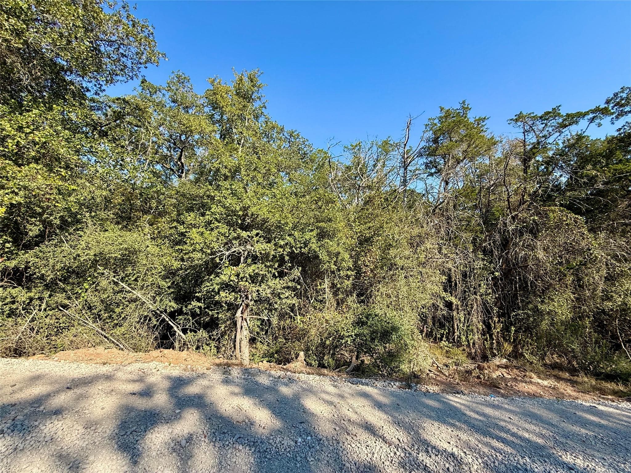 TBD Lot 1233 Hanauma DR