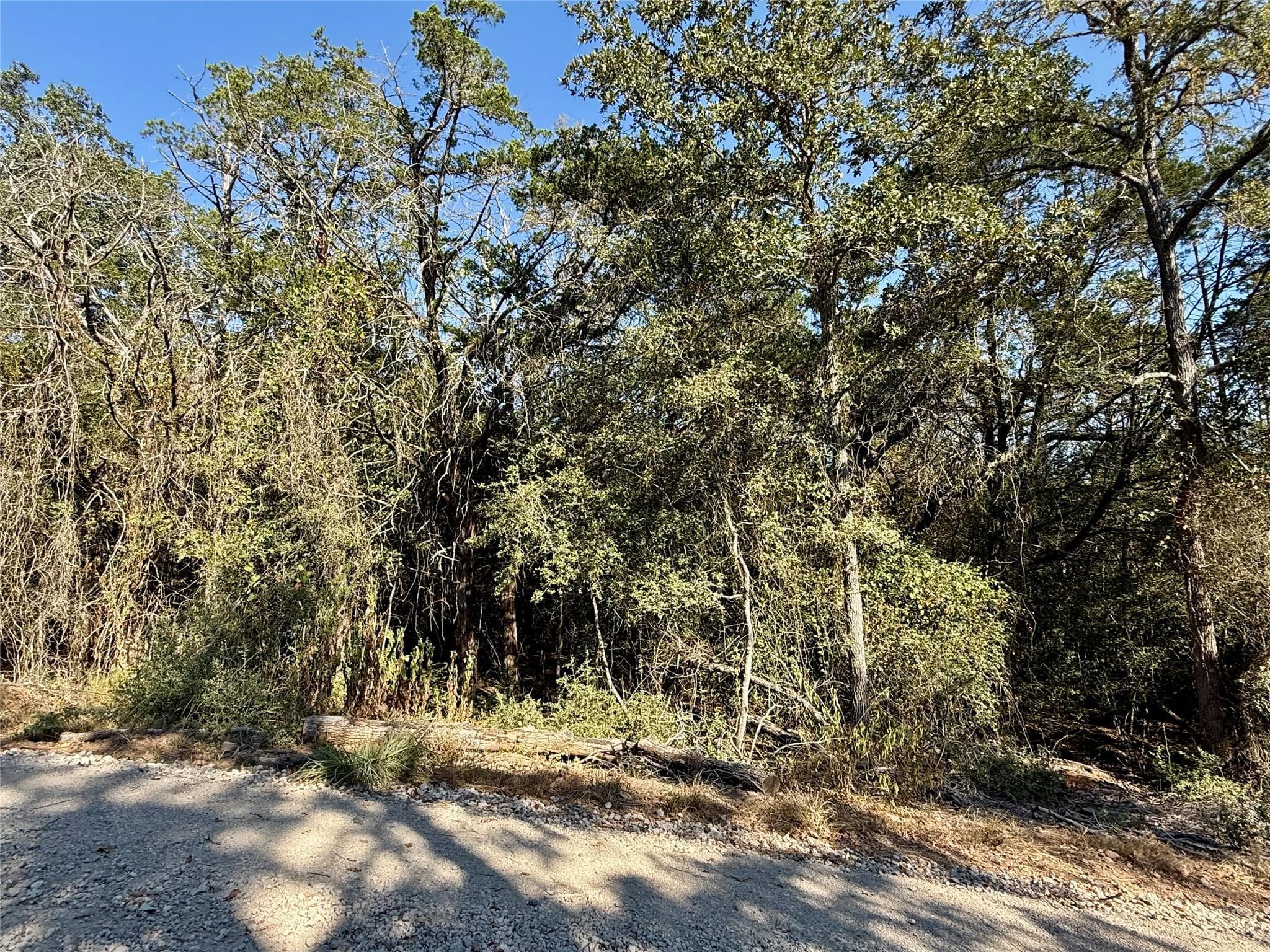 TBD Lot 1232 Hanauma DR