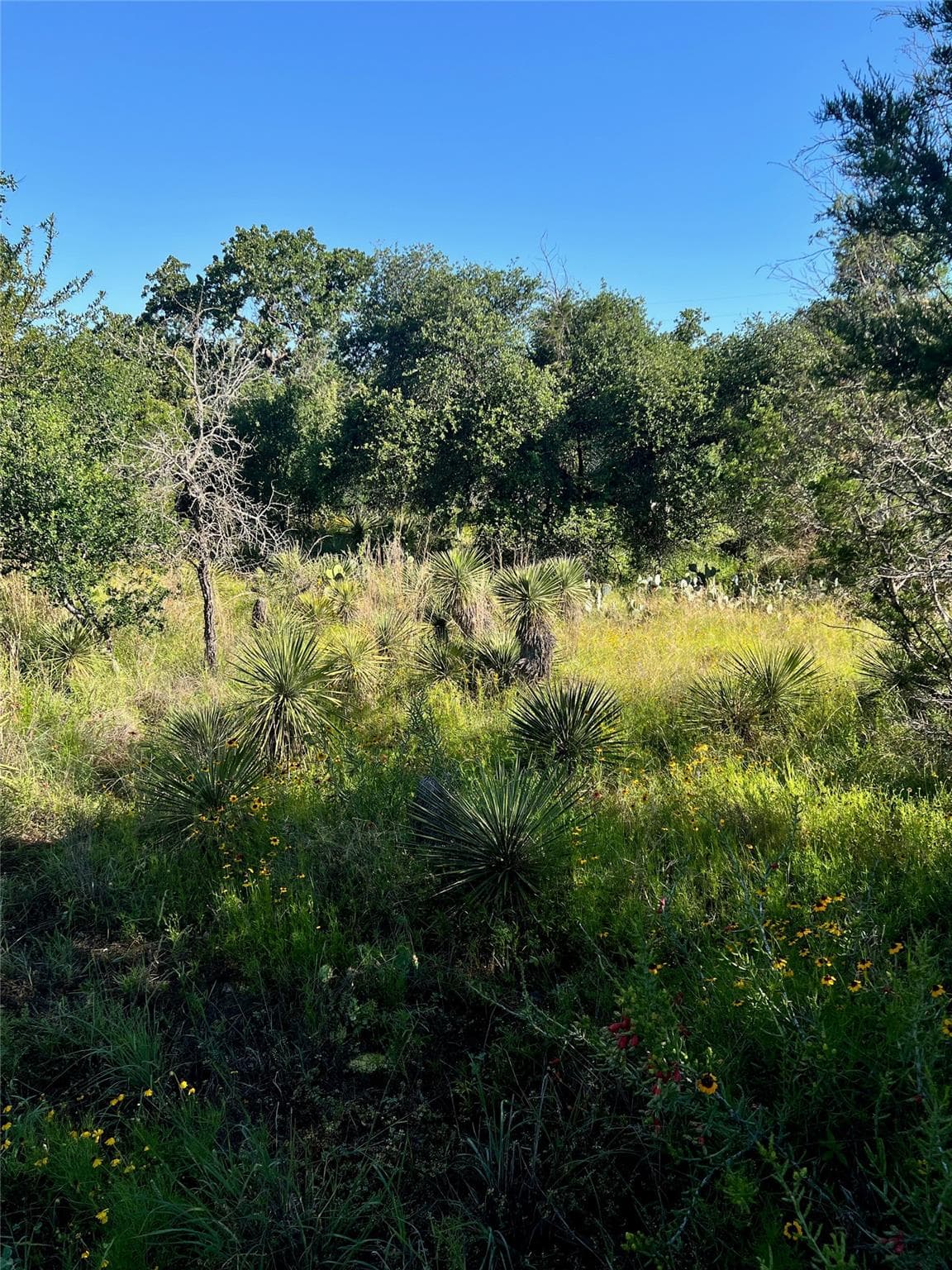 TBD Castlelake DR