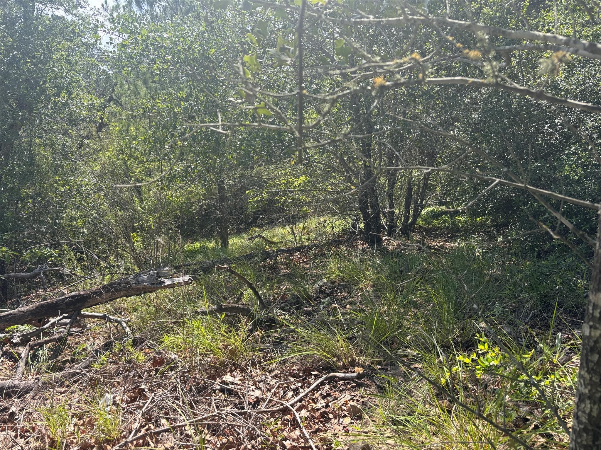 Lot 1541 Pahoiki LN