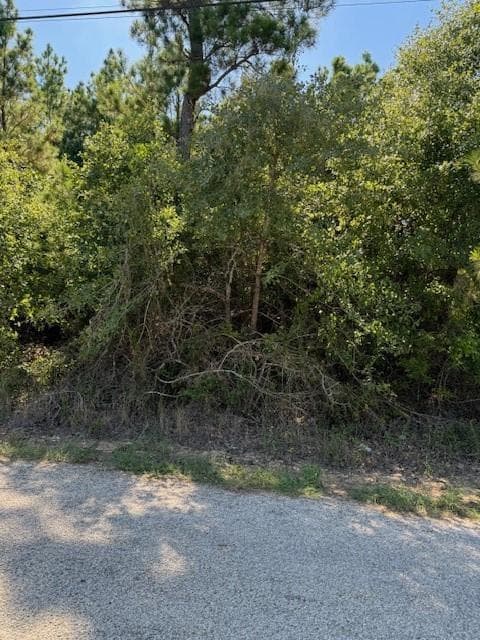 Lot 1355 Kaupo DR