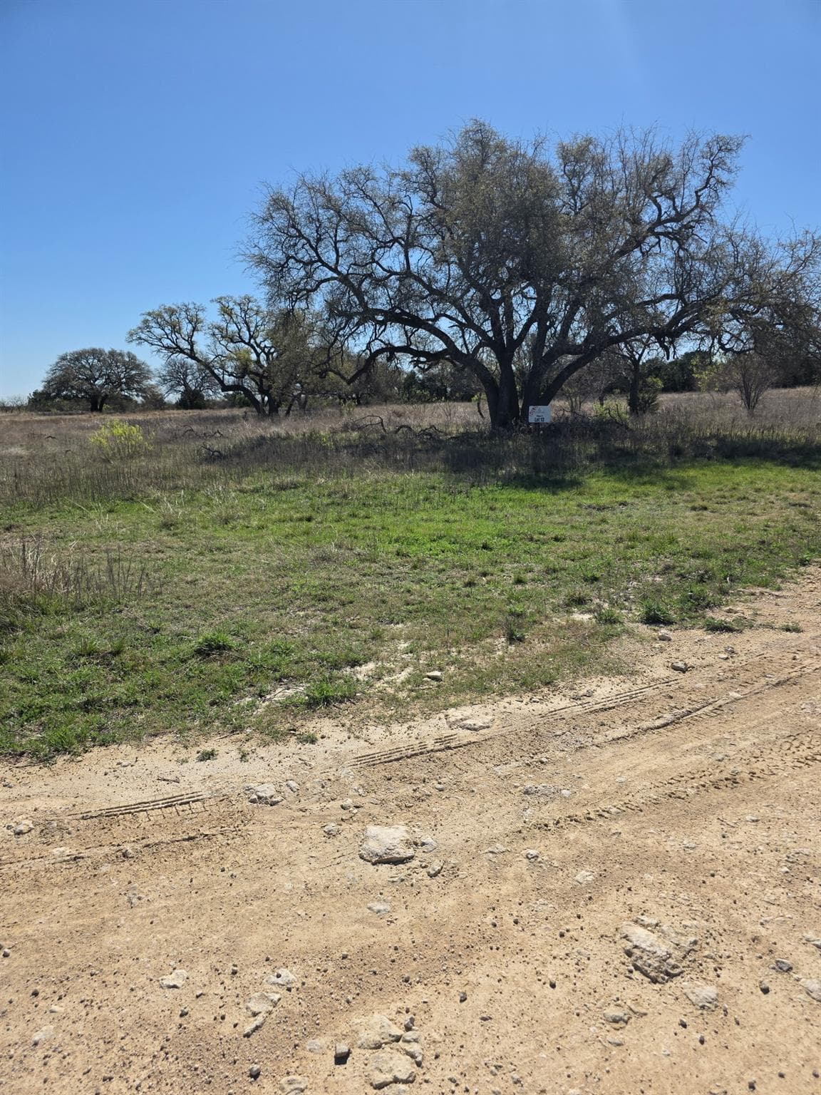 Lot 13 Pr 4212